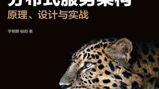 分布式服务架构：原理、设计与实战