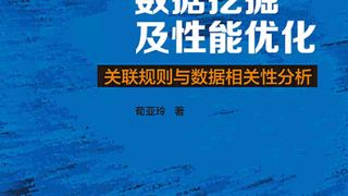 并行数据挖掘及性能优化：关联规则与数据相关性分析