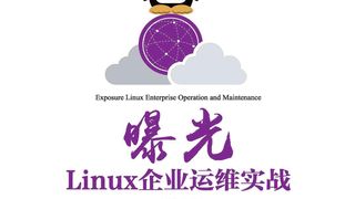 曝光：Linux企业运维实战