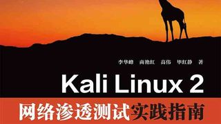 Kali Linux 2网络渗透测试实践指南