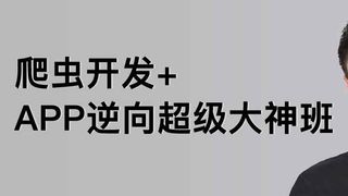 路飞-爬虫开发+APP逆向超级大神班1-3班|价值4999元|2022年|课件完整